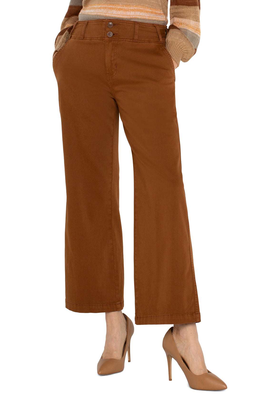 Liverpool Los Angeles High Rise Cinch Waist Wide Leg Pant in Jasper Brown